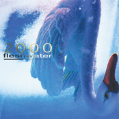 Fleshwater: 2000: In Search of the Endless Sky