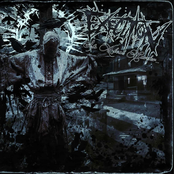 Execution: Its About Murder