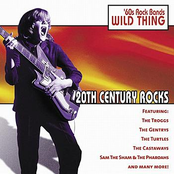 Castaways: 20th Century Rocks: 60's Rock Bands - Wild Thing