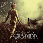 Only Found By Those Who Seek by Ommatidia