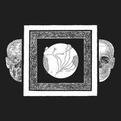 Ash Borer/Fell Voices Split