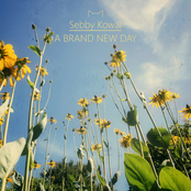 A Brand New Day
