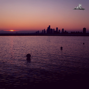 Almost Never / Sometimes Always