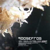 New Life by Moosefrog