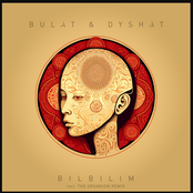 Bilbilim