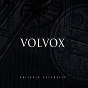 Volvox: Universo Expandido