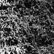 Taurunovem (Th'Astraktryan Serfdome)