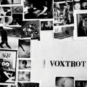 Voxtrot