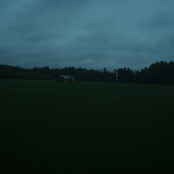 viiksien kasvatus ep