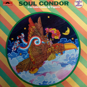 Soul Condor