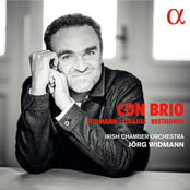 Jorg Widmann: Widmann, Strauss & Beethoven: Con brio