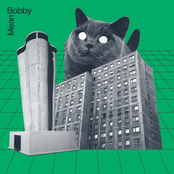 Mean Bobby