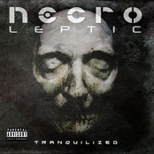 Liar by Necroleptic