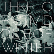 Middle Of Winter by The Florist