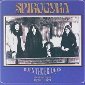 Jerusalem by Spirogyra