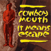 Irish Boy by Cowboy Mouth