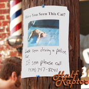 Have You Seen This Cat?