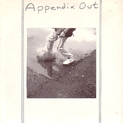 Pissed With You by Appendix Out