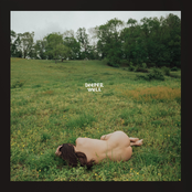 Kacey Musgraves: Deeper Well