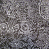 The Dead C. / Hi God People