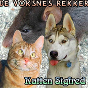 de voksnes rekker