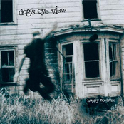 What I Know Now by Dog's Eye View