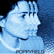 poppyfield