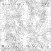 Awakening of the Bit Dragons  [phoke42]