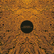 Flashlight by Bonobo