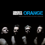 Orange: Songs Your New Boyfriend Is Too Stupid To Understand