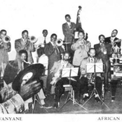 african swingsters