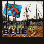 Cold Water by The Jesus Lizard
