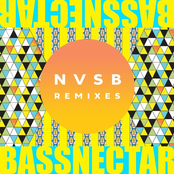 Flash Back (at Dawn We Rage Remix) by Bassnectar