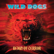 We Rule The Night by Wild Dogs