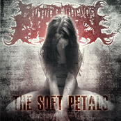 The Soft Petals [Single/Demo]