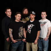 08 Paper Tiger Sessions