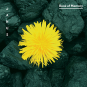 Jason Treuting: Book of Memory