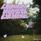 laiminga megzta liemenė