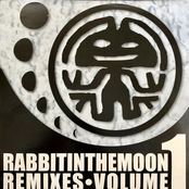Rabbit In the Moon: The Rabbit in the Moon Remixes, Volume 1