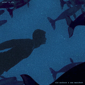 Old Anchors  Sea Manifest