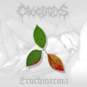 Ecochistema