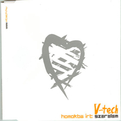 Homokba Irt Szerelem