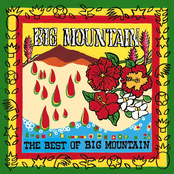 Soul Teacher by Big Mountain