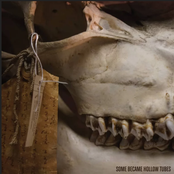 Dog Faced Propulsion