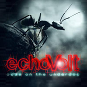 Odds On the Underdog