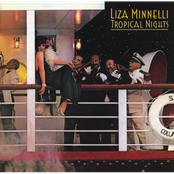 When It Comes Down To It by Liza Minnelli