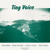 ting voice