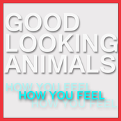 How You Feel