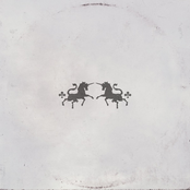 Echo - Single