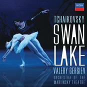 Mariinsky Orchestra: Tchaikovsky: Swan Lake